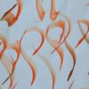 toile contemporaine calligraphie orange TC12_2